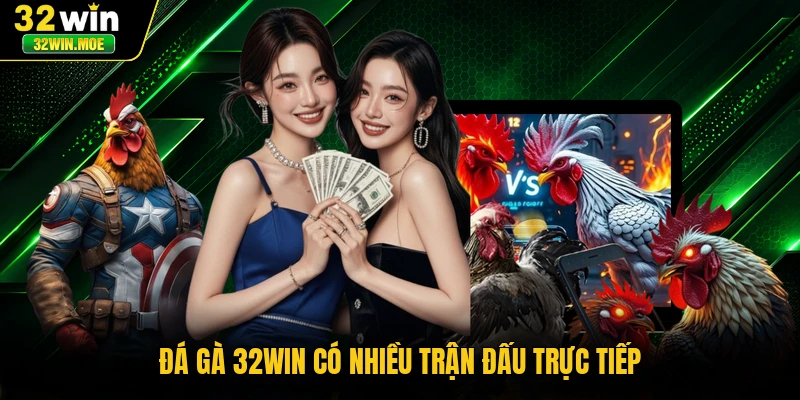 Đá gà 32WIN có nhiều trận đấu trực tiếp